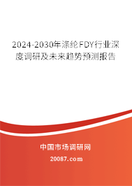 2024-2030年涤纶FDY行业深度调研及未来趋势预测报告