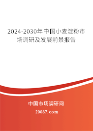 2024-2030年中国小麦淀粉市场调研及发展前景报告