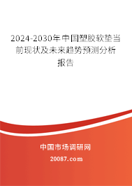 2024-2030年中国塑胶软垫当前现状及未来趋势预测分析报告