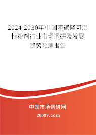 2024-2030年中国苯磺隆可湿性粉剂行业市场调研及发展趋势预测报告