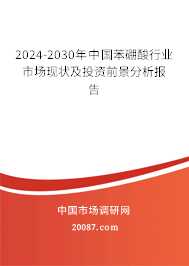 2024-2030年中国苯硼酸行业市场现状及投资前景分析报告