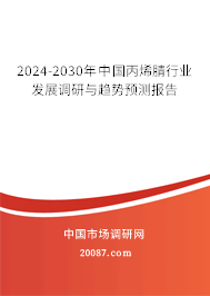 2024-2030年中国丙烯腈行业发展调研与趋势预测报告