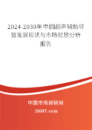 2024-2030年中国超声辅助导管发展现状与市场前景分析报告