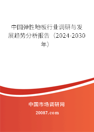 中国弹性地板行业调研与发展趋势分析报告（2024-2030年）