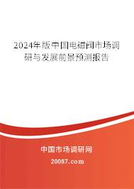 2024年版中国电磁阀市场调研与发展前景预测报告