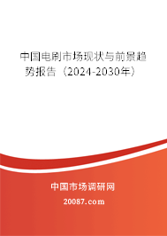 中国电刷市场现状与前景趋势报告（2024-2030年）