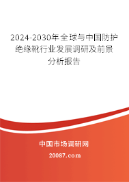 2024-2030年全球与中国防护绝缘靴行业发展调研及前景分析报告