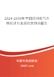 2024-2030年中国高纯氮气市场现状与发展前景预测报告