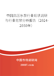 中国高压水泵行业现状调研与行业前景分析报告（2024-2030年）