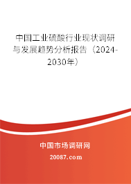 中国工业硫酸行业现状调研与发展趋势分析报告（2024-2030年）