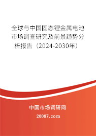 全球与中国固态锂金属电池市场调查研究及前景趋势分析报告（2024-2030年）