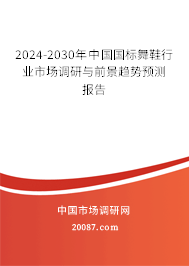 2024-2030年中国国标舞鞋行业市场调研与前景趋势预测报告