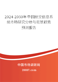 2024-2030年中国航空信息系统市场研究分析与前景趋势预测报告