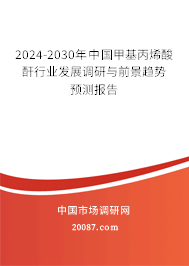 2024-2030年中国甲基丙烯酸酐行业发展调研与前景趋势预测报告