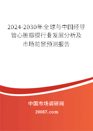 2024-2030年全球与中国经导管心脏瓣膜行业发展分析及市场前景预测报告