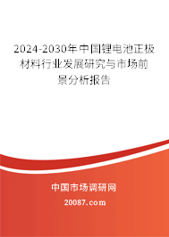 2024-2030年中国锂电池正极材料行业发展研究与市场前景分析报告