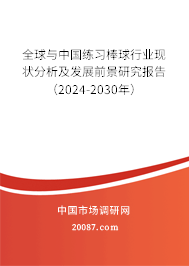 全球与中国练习棒球行业现状分析及发展前景研究报告（2024-2030年）