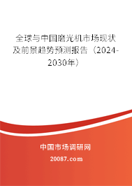 全球与中国磨光机市场现状及前景趋势预测报告（2024-2030年）