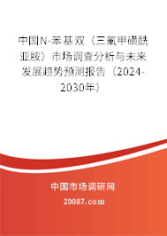 中国N-苯基双（三氟甲磺酰亚胺）市场调查分析与未来发展趋势预测报告（2024-2030年）