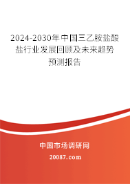 2024-2030年中国三乙胺盐酸盐行业发展回顾及未来趋势预测报告