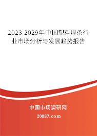 2023-2029年中国塑料焊条行业市场分析与发展趋势报告