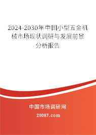 2024-2030年中国小型五金机械市场现状调研与发展前景分析报告