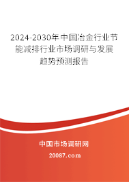 2024-2030年中国冶金行业节能减排行业市场调研与发展趋势预测报告