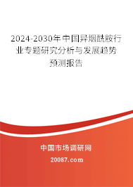 2024-2030年中国异烟酰胺行业专题研究分析与发展趋势预测报告