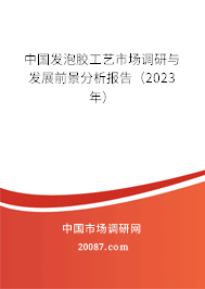 中国发泡胶工艺市场调研与发展前景分析报告（2023年）