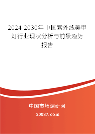 2024-2030年中国紫外线美甲灯行业现状分析与前景趋势报告