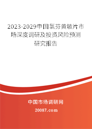 2023-2029中国氯芬黄敏片市场深度调研及投资风险预测研究报告