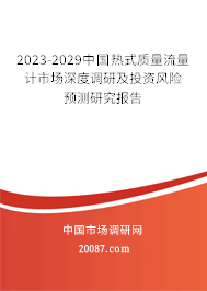 2023-2029中国热式质量流量计市场深度调研及投资风险预测研究报告