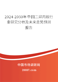 2024-2030年中国二异丙胺行业研究分析及未来走势预测报告