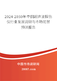 2024-2030年中国超声波探伤仪行业发展调研与市场前景预测报告