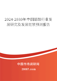 2024-2030年中国醋酸行业发展研究及发展前景预测报告