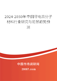 2024-2030年中国导电高分子材料行业研究与前景趋势预测