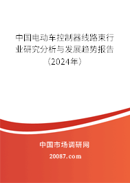 中国电动车控制器线路束行业研究分析与发展趋势报告（2024年）