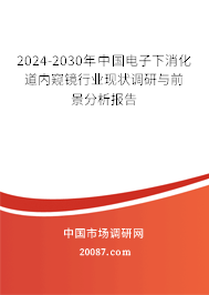 2024-2030年中国电子下消化道内窥镜行业现状调研与前景分析报告