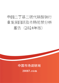 中国二丁基二硫代磷酸钠行业发展回顾及市场前景分析报告（2024年版）