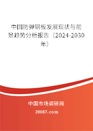 中国防弹钢板发展现状与前景趋势分析报告（2024-2030年）