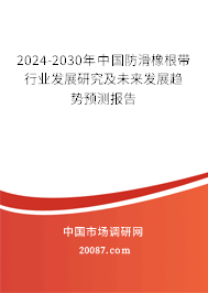 2024-2030年中国防滑橡根带行业发展研究及未来发展趋势预测报告