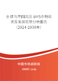 全球与中国高压 BMS市场现状及发展前景分析报告（2024-2030年）