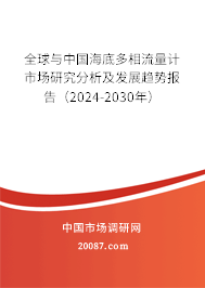 全球与中国海底多相流量计市场研究分析及发展趋势报告（2024-2030年）