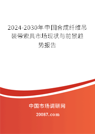 2024-2030年中国合成纤维吊装带索具市场现状与前景趋势报告