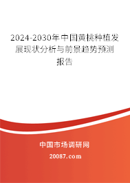 2024-2030年中国黄桃种植发展现状分析与前景趋势预测报告