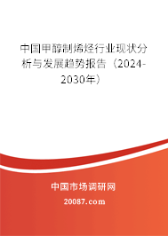 中国甲醇制烯烃行业现状分析与发展趋势报告（2024-2030年）