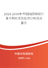 2024-2030年中国加拉碘铵行业市场现状及投资分析咨询报告