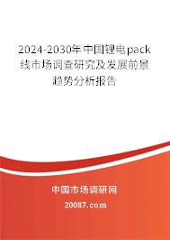 2024-2030年中国锂电pack线市场调查研究及发展前景趋势分析报告