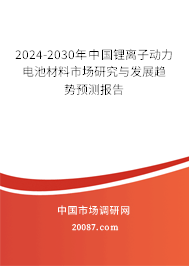 2024-2030年中国锂离子动力电池材料市场研究与发展趋势预测报告