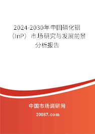 2024-2030年中国磷化铟（InP）市场研究与发展前景分析报告